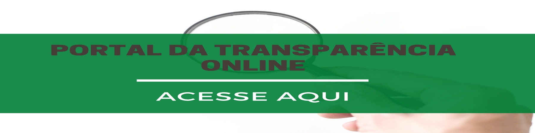 PORTAL DA TRANSPARÊNCIA ONLINE