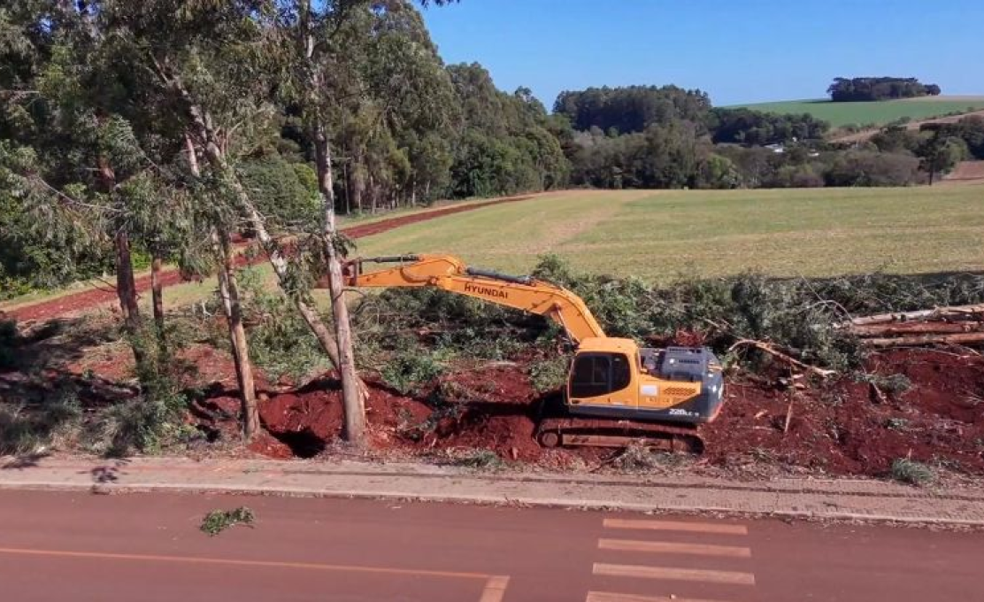Secretaria de Obras realiza retirada de eucaliptos no bairro Cohapar