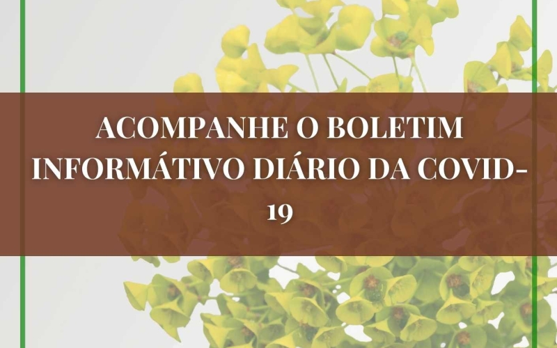 Boletim Epidemiológico diário 