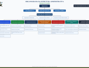 estrutura-administrativa.png